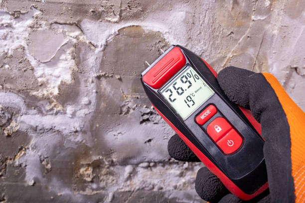 Best Basement Mold Remediation in Drum Point, MD